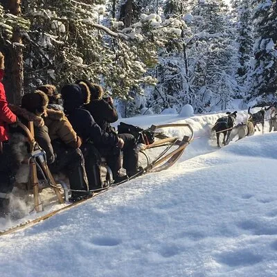 Lapland Sleddog Adventures