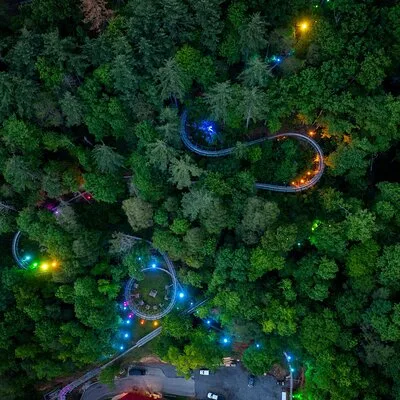 Moonshine Mountain Coaster