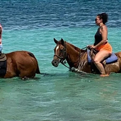 Hour Horseback Riding Guided Tour from Runaway Bay