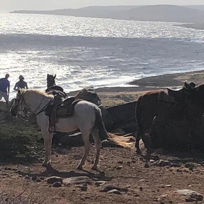 Private Sunset Horseback Ride