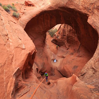 Get In The Wild Adventures
