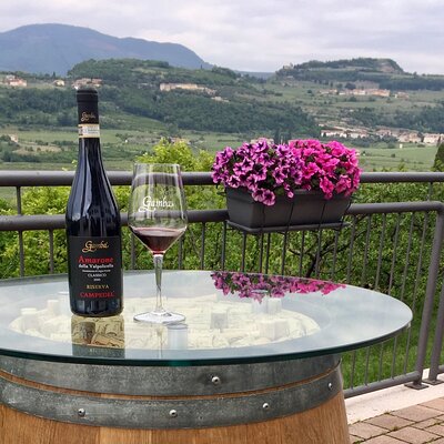 Amarone Wine Tasting in Valpolicella