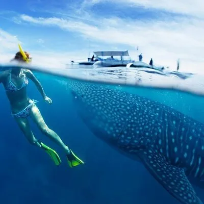 Mcrich Travel and Tours