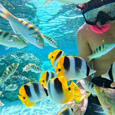 Catch & Cook Adventure Raiatea