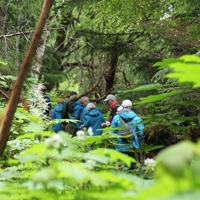 Alaska Mountain Guides Adventures, inc. Chilkat Guides Ltd