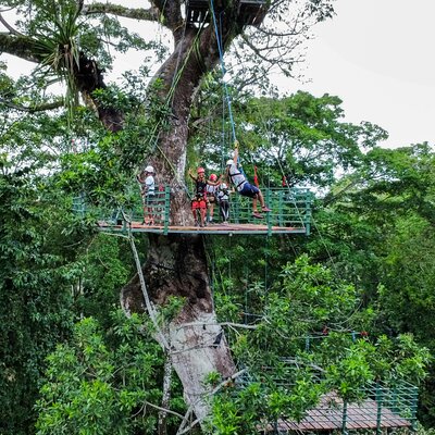 Vertical Multiadventure Park - Giant Trees
