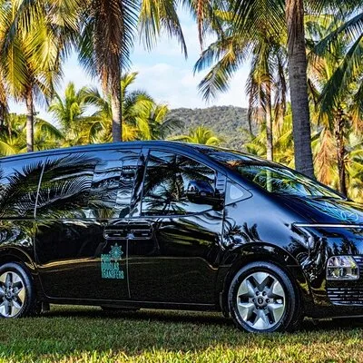 Cairns to Silky Oaks ONE WAY Private Transfer 6 pax
