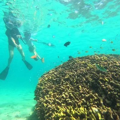Snorkeling in Okinawa: Private booking