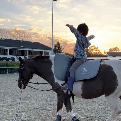 Horse Riding in Aveiro - Ílhavo