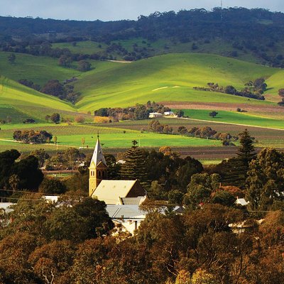 Trailhopper Tours