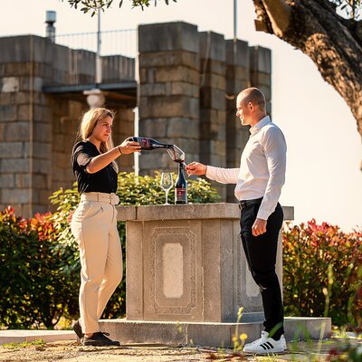 Wine Degustation in the Heart of Slovenian Istria