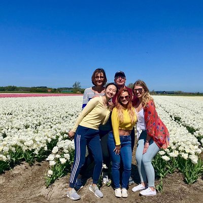 Alkmaar Tours