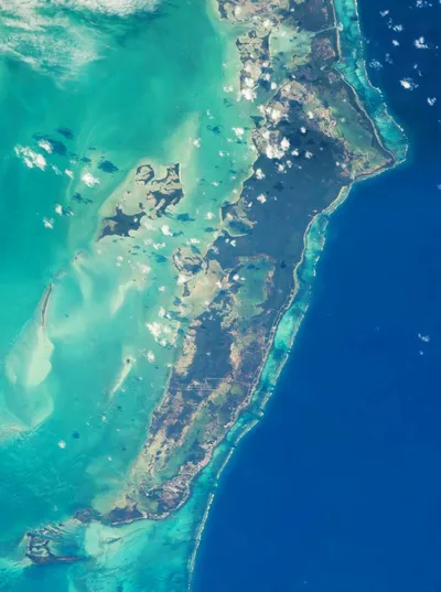 Snorkeling at Hol Chan Marine Reserve and Shark Ray Alley in Ambergris Caye