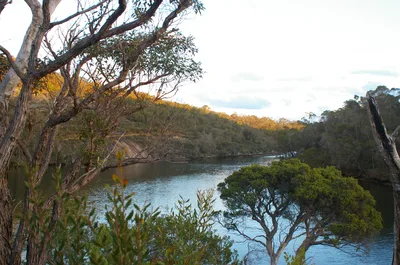 Kalgan Queen Scenic Cruises 4-Hour Wildlife Tour on Oyster Harbour and Kalgan River in Albany