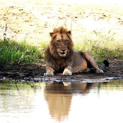 Kruger Flexi Tours