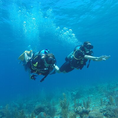 Scuba San Andres Dive Shop