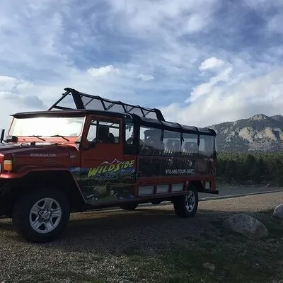 Wildside 4x4 Tours