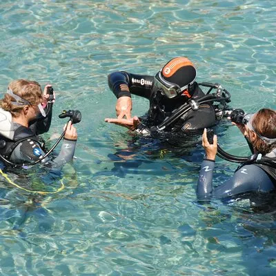 Discover Scuba Diving in the sea with the Blue Dolphin Team