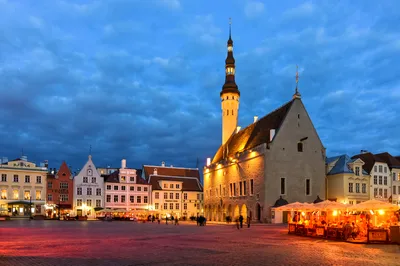 Tallinn Bicycle Sightseeing Tour including Kadriorg Palace, Song Festival Grounds and Communism Memorial