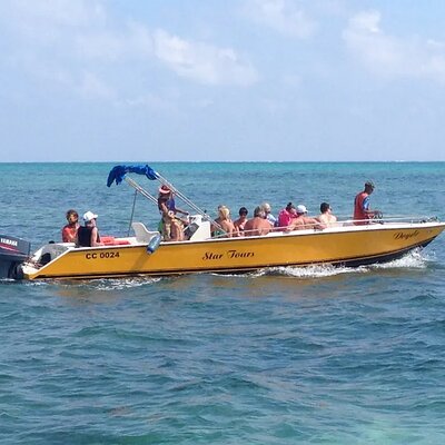 3 Hours Barrier Reef Tour in Caye Caulker, Belize