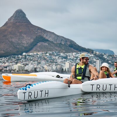 Dolphin And Ocean Wildlife Kayaking Adventure on Promenade
