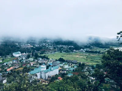 Nuwara Eliya 4.5-Hour Mr.TukTuk Tour with Blue Field or Kingswood Tea Factory and Ramboda Waterfall