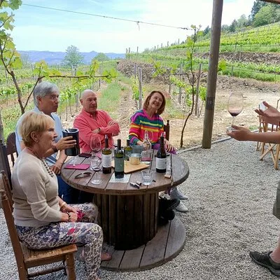 Wine Class Portugal wines in a small farm with a visit to the winery