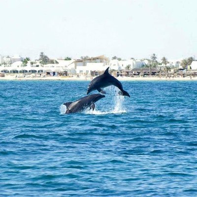 Club de Plongée La Sirène - Djerba Diving Center