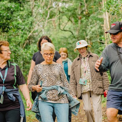 Breakfast Bushwalk & Clifftop BBQ Tour