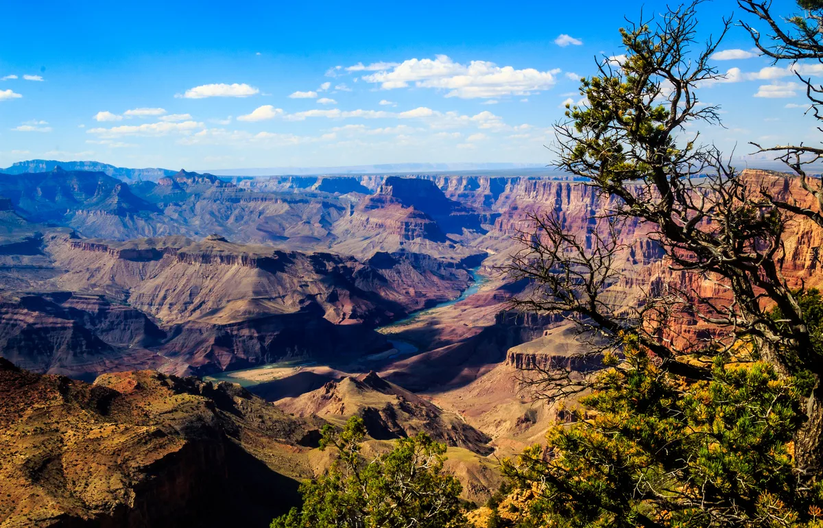 Grand Canyon West 1-7 Hour All Access Ticket: Skywalk, Zipline, Eagle and Guano Points