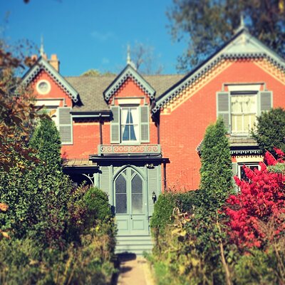 Fame and Folly in Victorian Cabbagetown