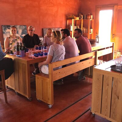 WIne & Olive Oil Tasting in an Organic Farm in Laconia, Greece!