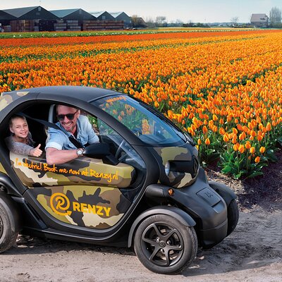 Tulip Fields near Keukenhof - Self-Drive Audio Tour for 2 People