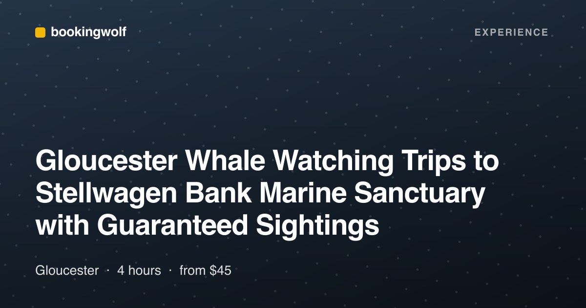 Gloucester Whale Watching Trips to Stellwagen Bank Marine Sanctuary with Guaranteed Sightings