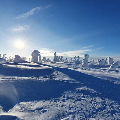 MyTrail