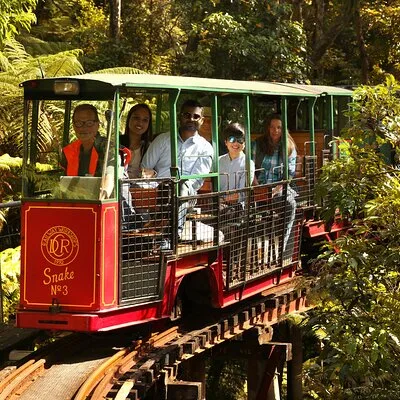 Captivating Railway Journey in Coromandel