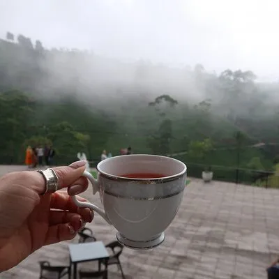 Labookellie Tea Factory Tour from Nuwara Eliya