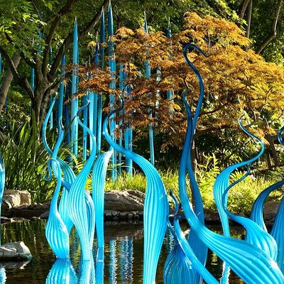 Dallas Arboretum and Botanical Gardens Tour