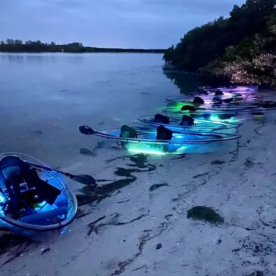 Get Up And Go Kayaking Tampa Bay