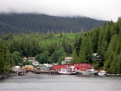 Vancouver Island Half-Day Whale Watching Tour in Telegraph Cove