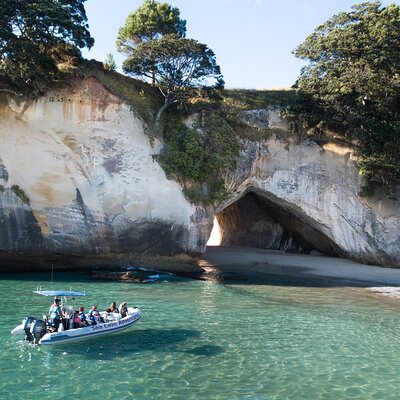 Sea Cave Adventures