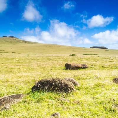 Rapanui Pioneers Society RPS