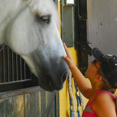 Carthusian Stud private – Yeguada de la Cartuja