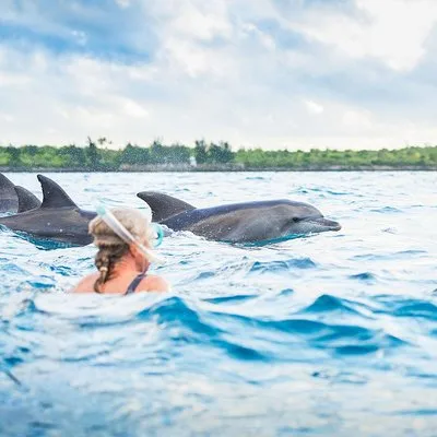 Kizimkazi Dolphin Tour