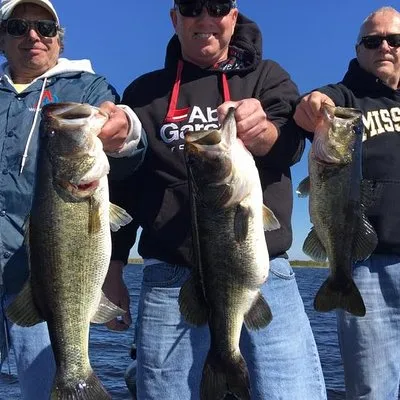 Bass Online Fishing Trips