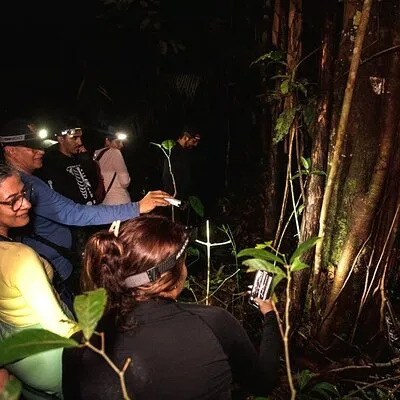 Amazonas Go - Numae Experiencie
