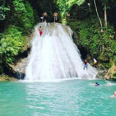 Marvyn's Paradise Tours Limited