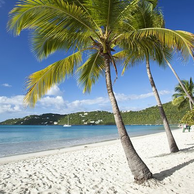 Sunny Liston Tours LLC