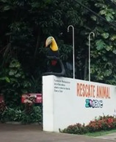 Alajuela Skip the Line Rescate Wildlife Rescue Centre General Admission Ticket