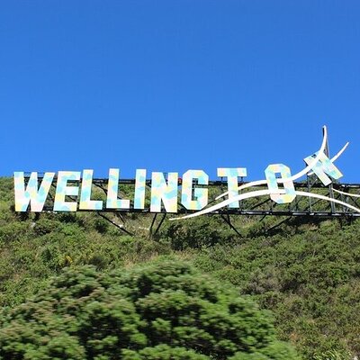 Welcome to Wellington: Private Luxury City & Scenic Bay Tour